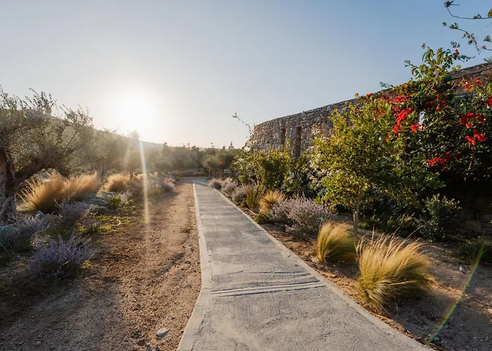 Oliving Mykonos Luxury Otel